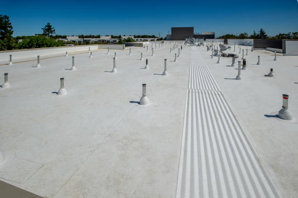 Best Sheet Metal Roofing  in Onalaska, TX